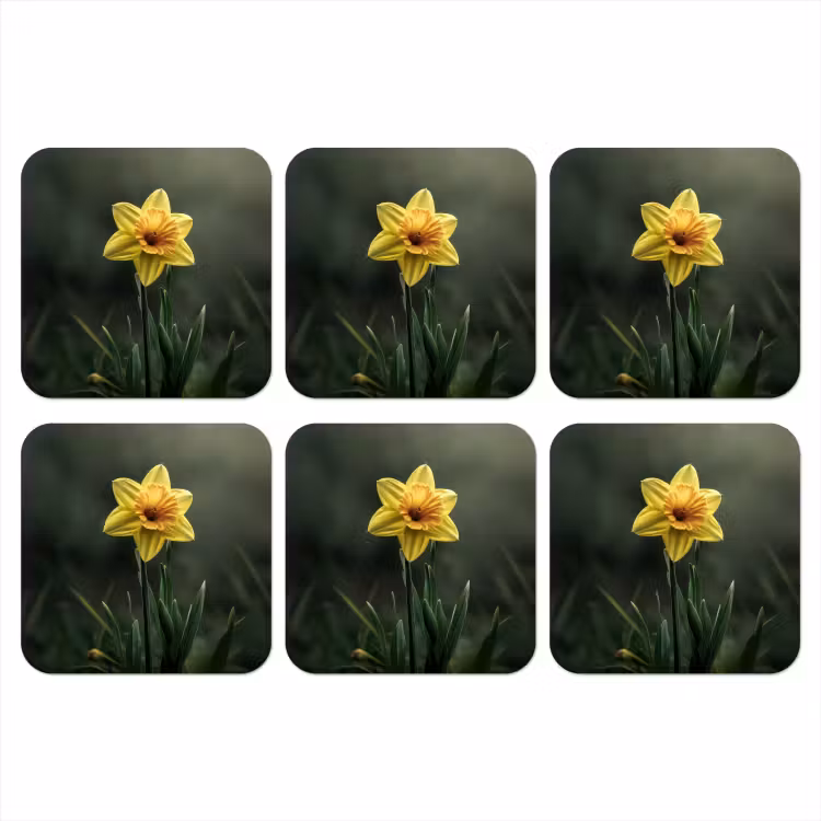 Onderzetter - Bloem - Narcis - Gras - Geel — 1