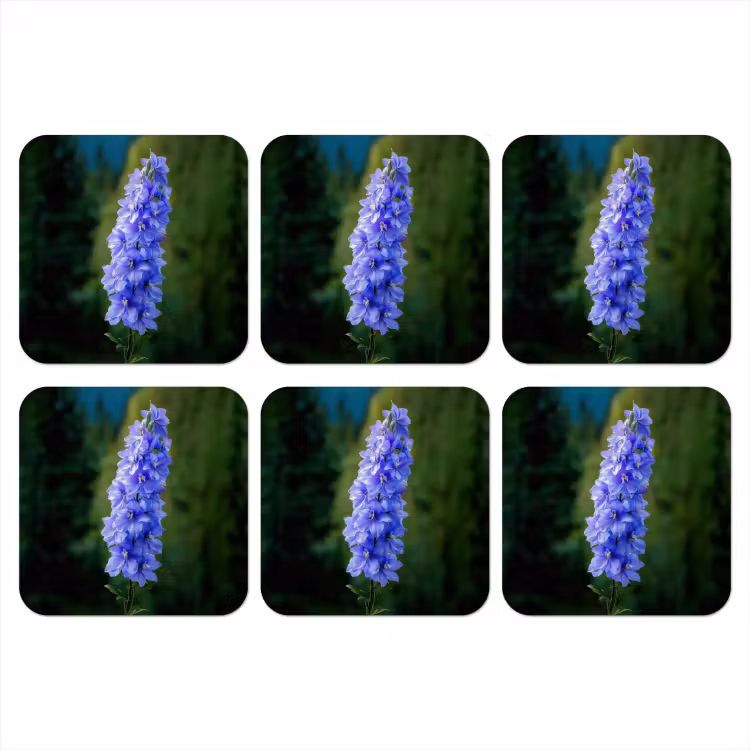 Onderzetter - Bloemen - Blauw - Dennenboom — 1