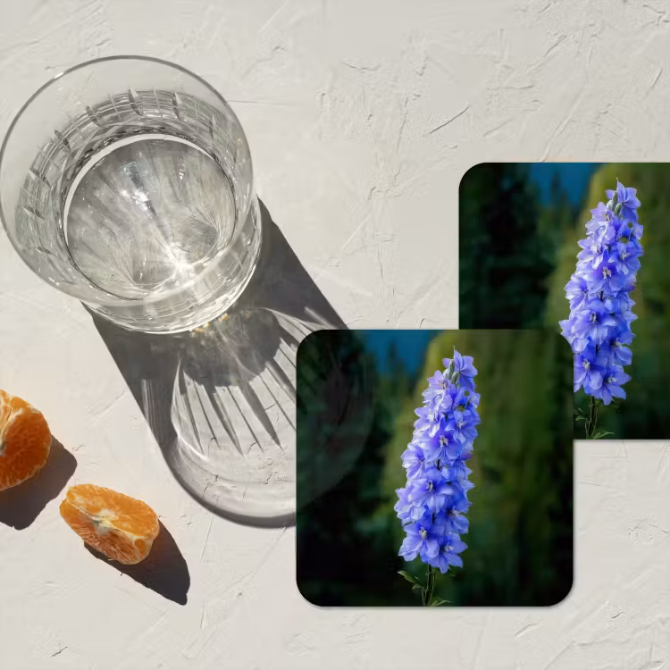 Onderzetter - Bloemen - Blauw - Dennenboom — 3