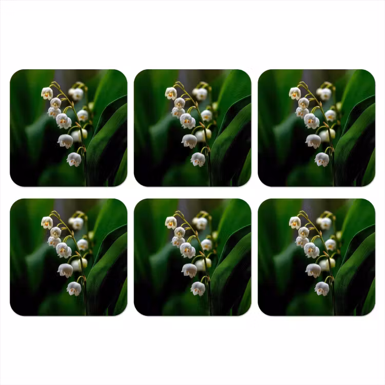 Onderzetter - Bloemen - Wit - Bladeren - Lelietjes — 1