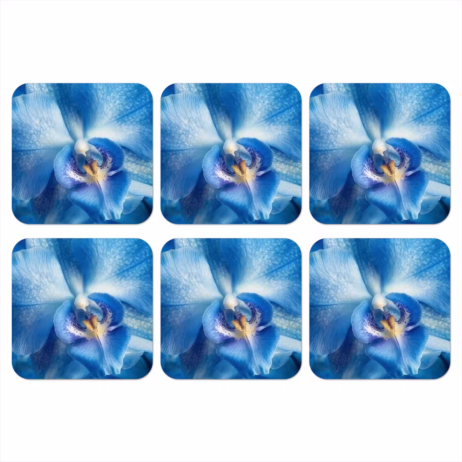 Onderzetter - Blauw - Orchidee - Elegeant — 1