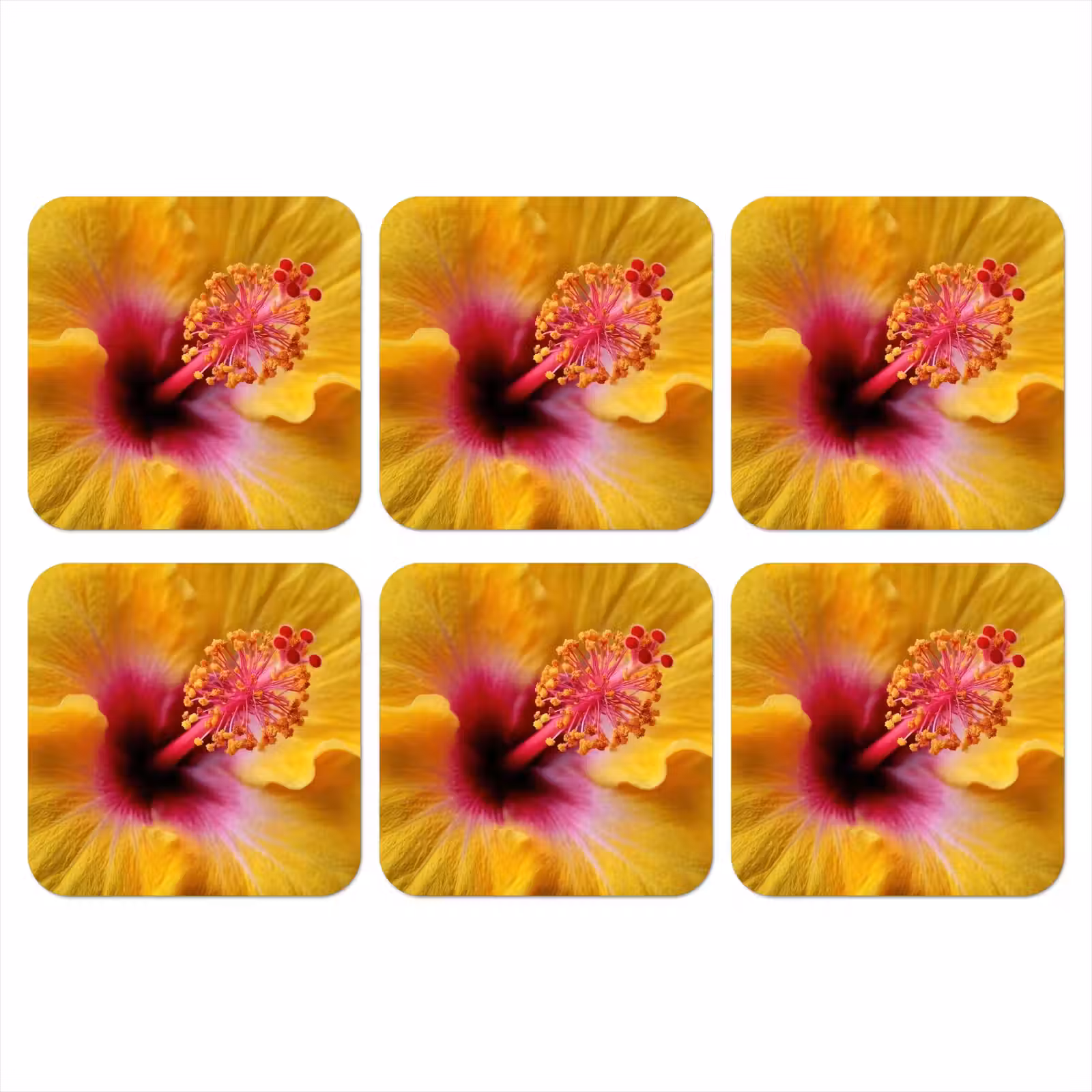 Onderzetter - Geel - Hibiscus - Tropisch — 1