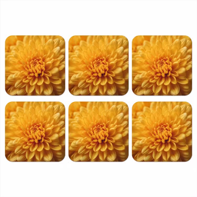 Onderzetter - Geel - Chrysant - Zachtheid — 1