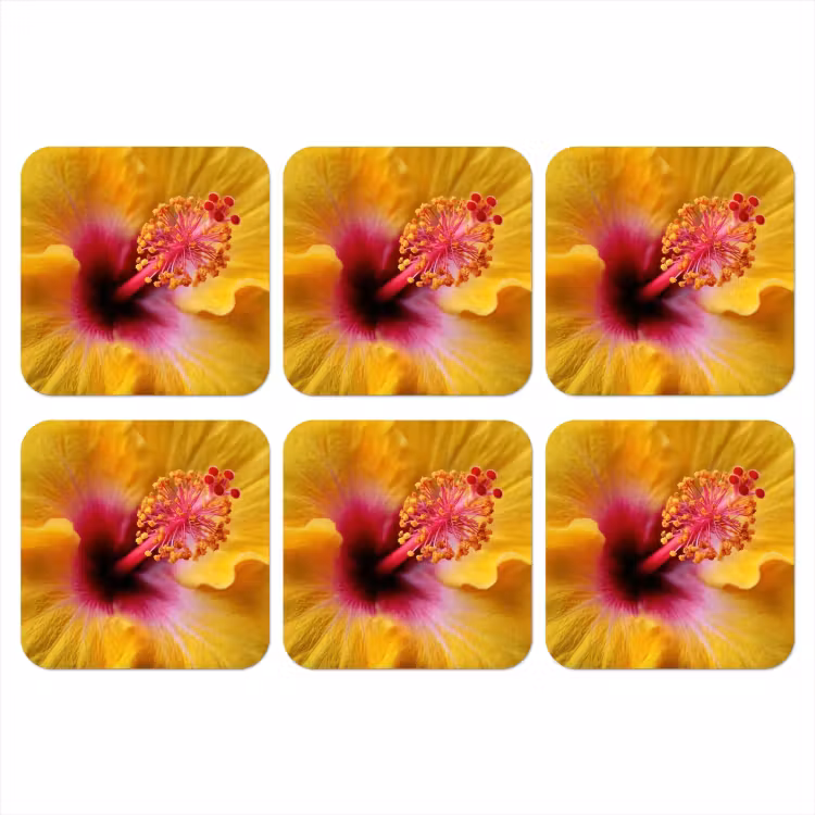 Onderzetter - Geel - Hibiscus - Tropisch — 1