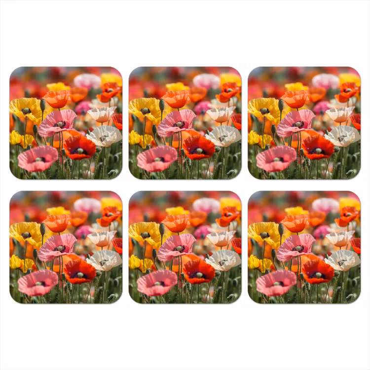 Onderzetter - Bloemenveld - Klaprozen - Kleurrijk — 1