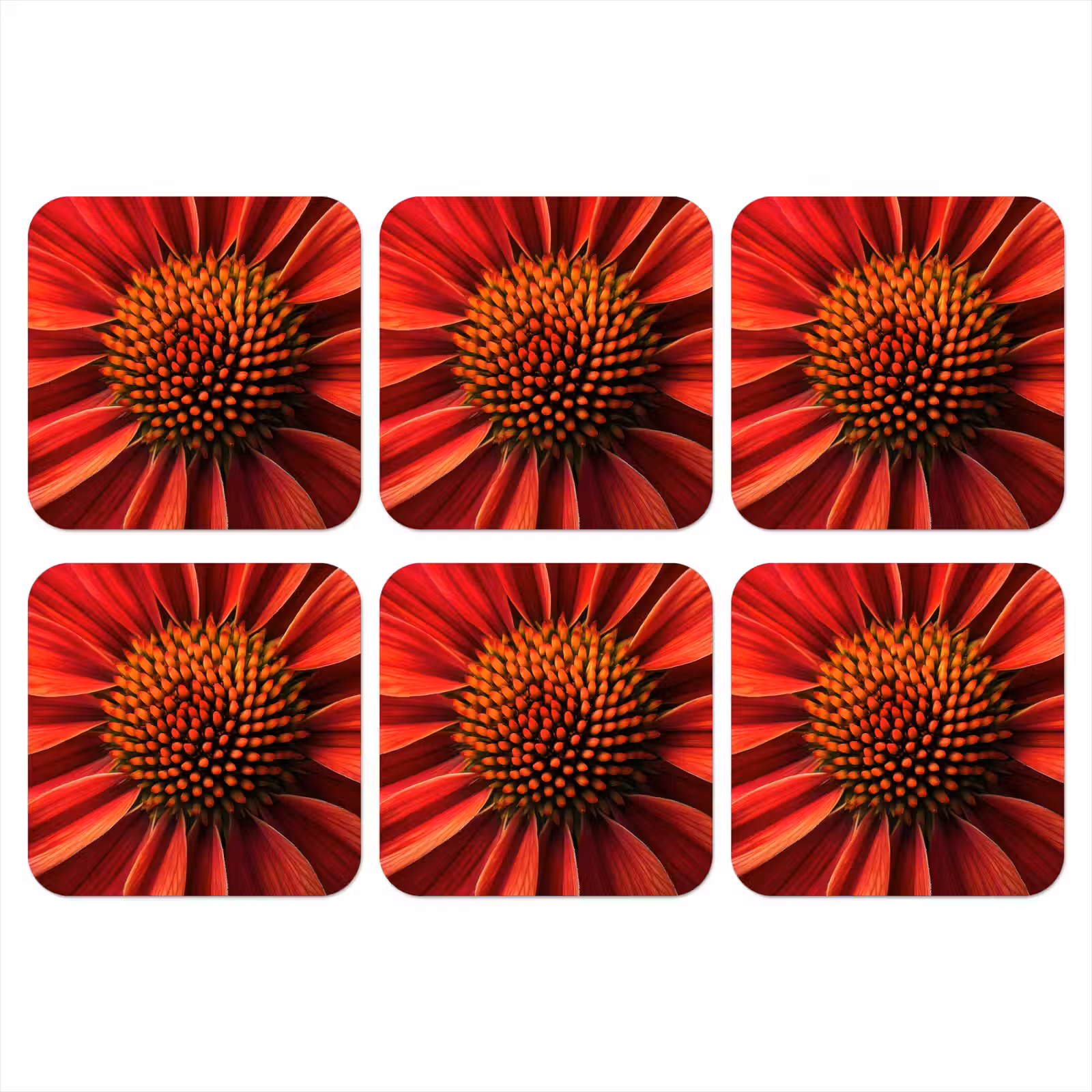 Onderzetter - Close up - Bloem- Rood — 1