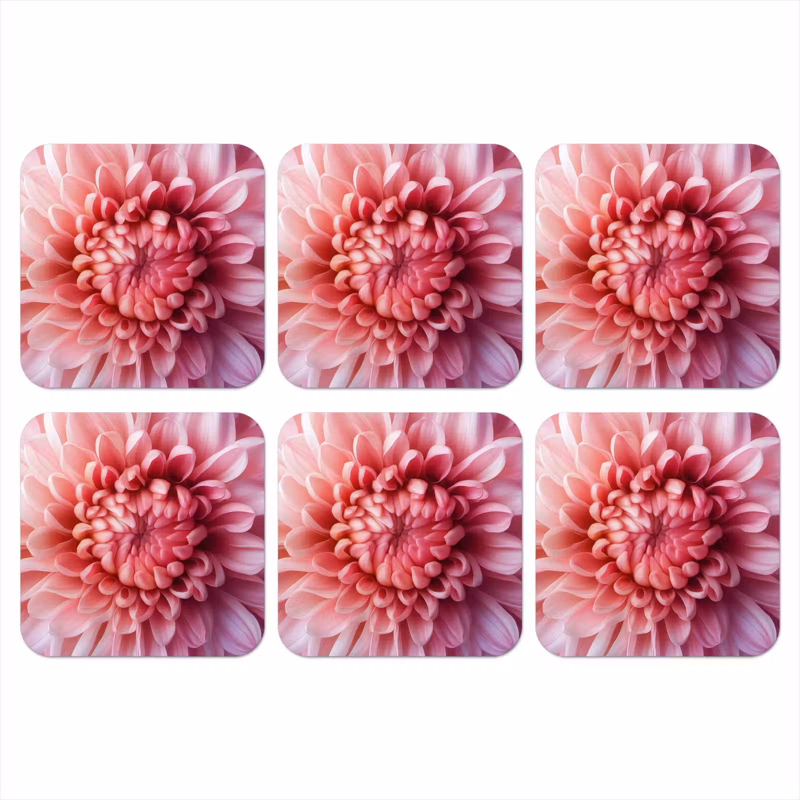 Onderzetter - Dahlia - Bloem - Close up - Roze — 1