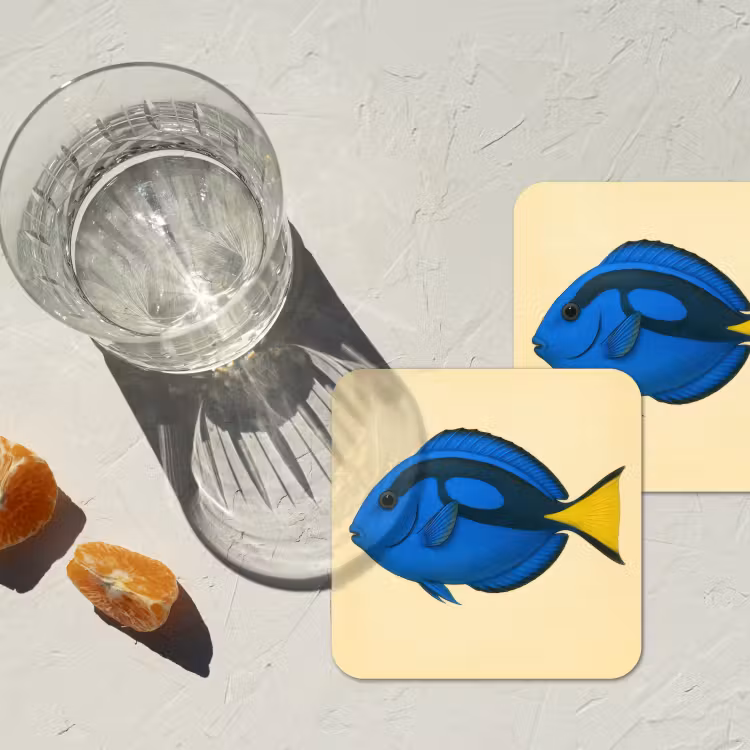 Onderzetter - Blauw - Dory - Vis - Staartvin — 3