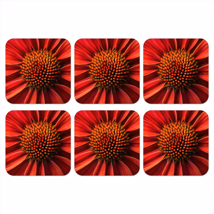 Onderzetter - Close up - Bloem- Rood — 1