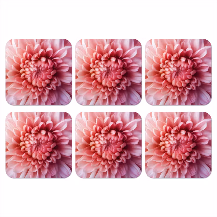 Onderzetter - Dahlia - Bloem - Close up - Roze — 1