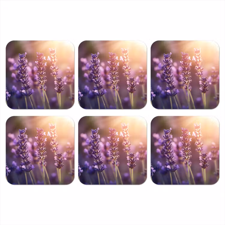 Onderzetter​ - Lavendelbloemen - Paars - Zonlicht — 1