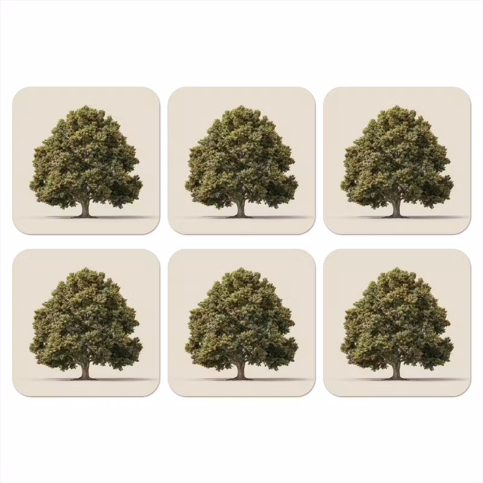 Onderzetter - Eikenboom - Groen - Lichte achtergrond — 1