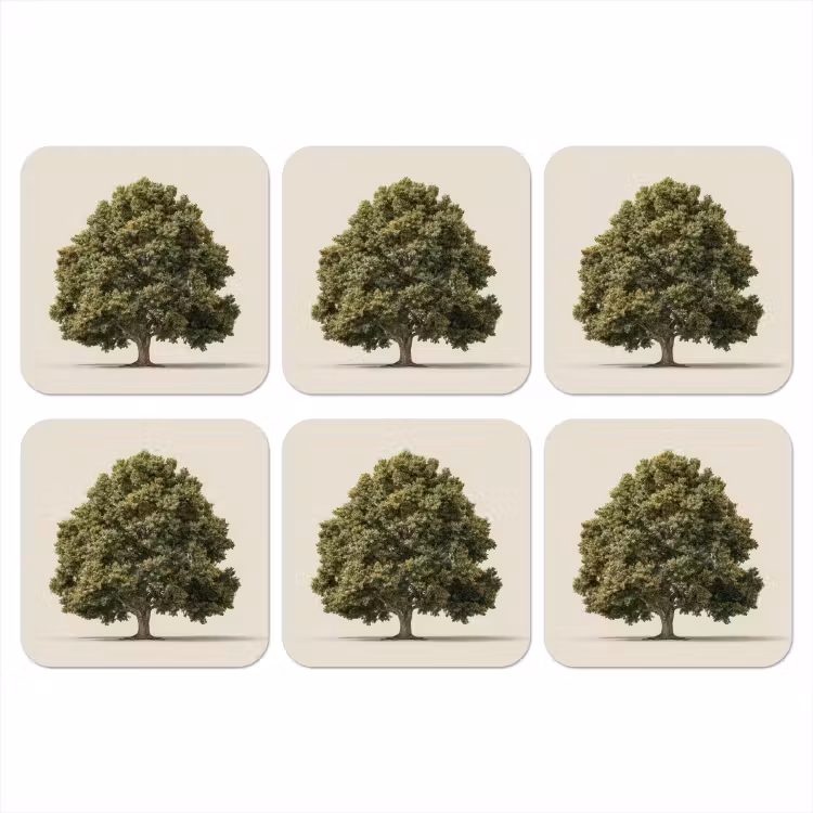 Onderzetter - Eikenboom - Groen - Lichte achtergrond — 1