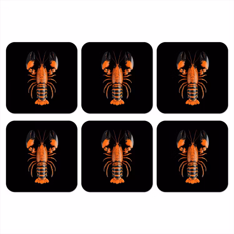 Onderzetter - Kreeft - Oranje - Zwart - Modern — 1