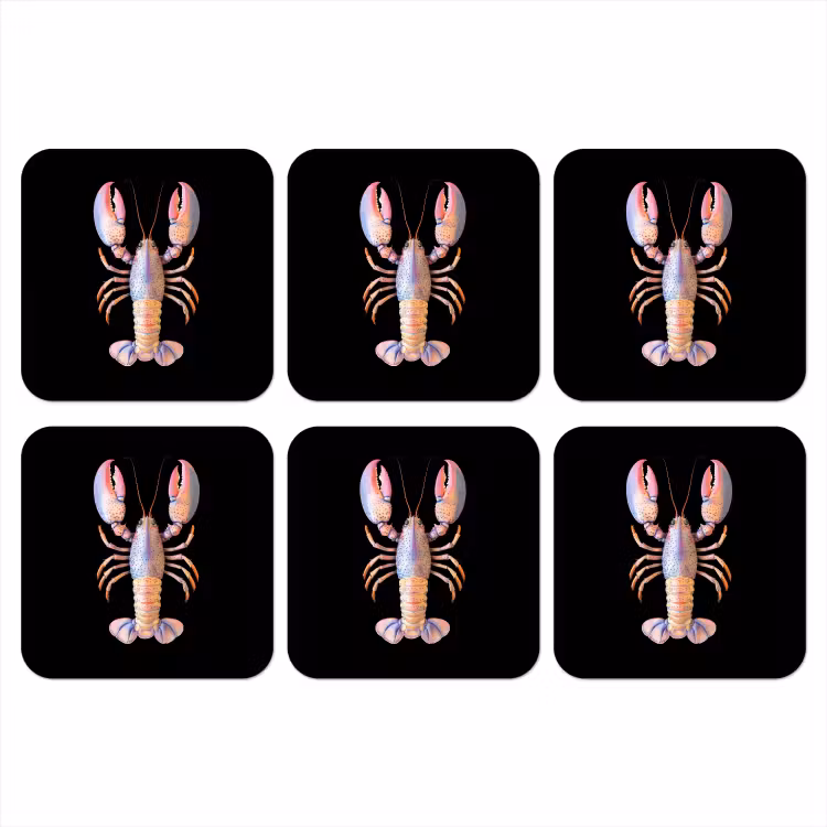 Onderzetter - Kreeft - Roze - Zacht - Zwart — 1