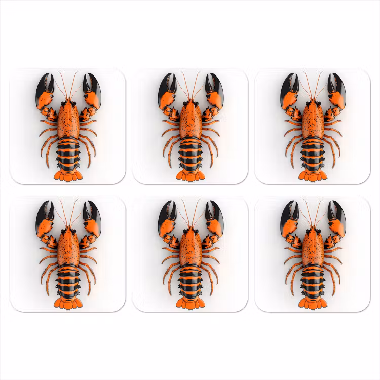 Onderzetter - Kreeft - Zwart - Oranje - Wit - Uniek — 1