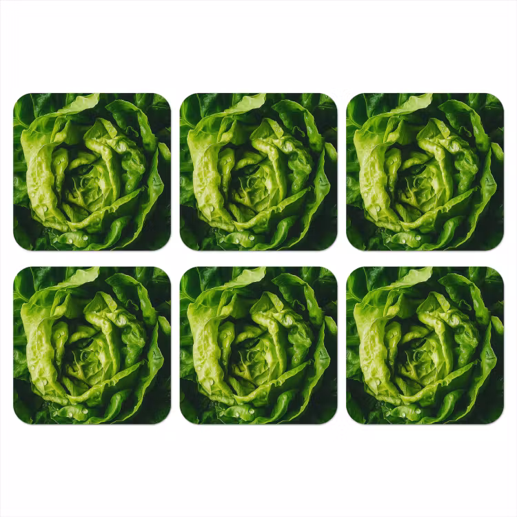 Onderzetter - Groente - Sla - Groen — 1