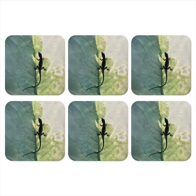 Onderzetter - Hagedis - Blad - Nerven - Groen — 1