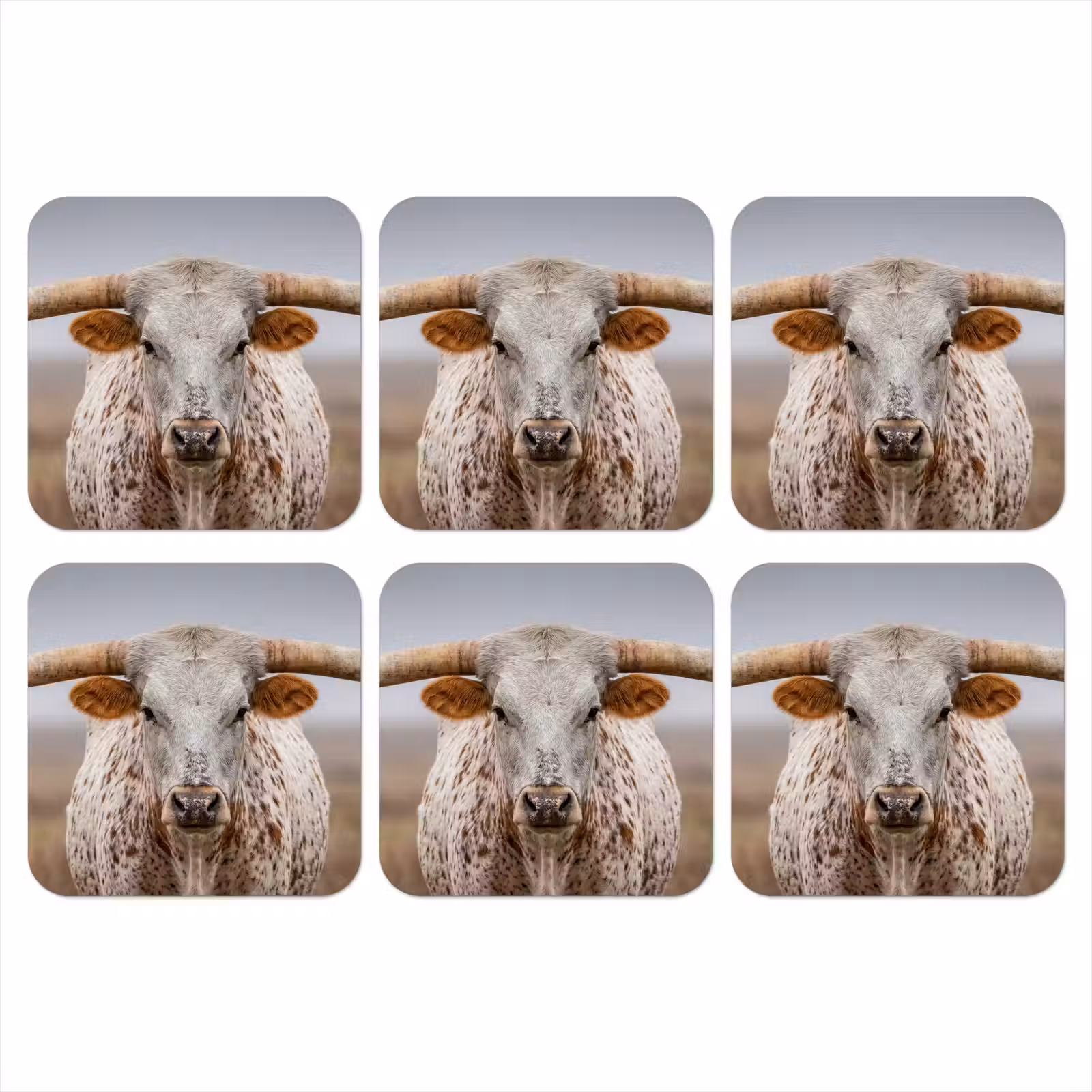 Onderzetter - Longhorn - Grasveld - Dier — 1
