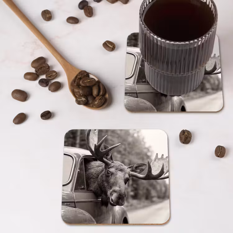 Onderzetter - Eland - Auto - Gewei - Zwart - Wit — 4