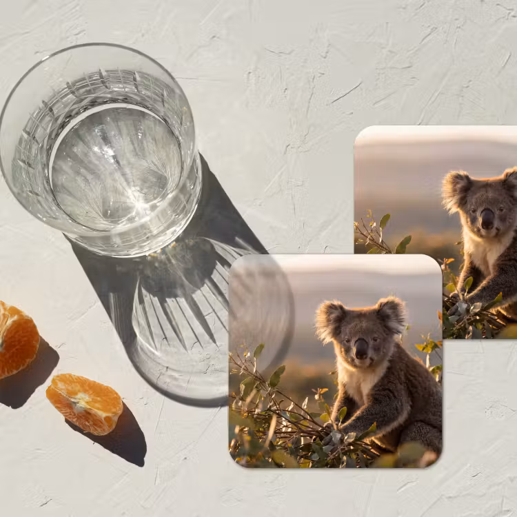 Onderzetter - Koala - Bladeren - Ochtendlicht — 3