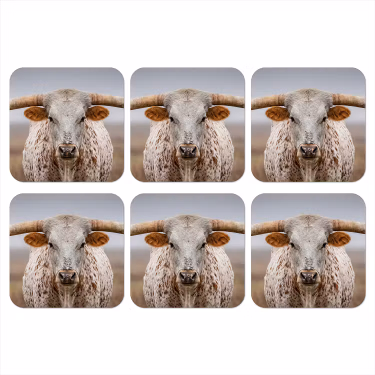 Onderzetter - Longhorn - Grasveld - Dier — 1