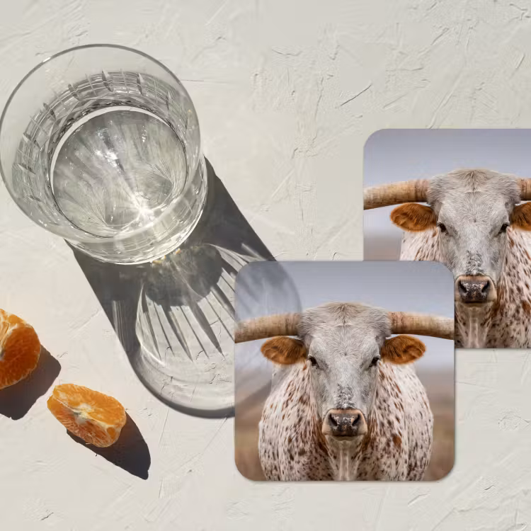 Onderzetter - Longhorn - Grasveld - Dier — 3
