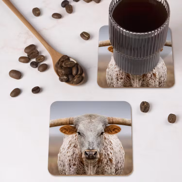 Onderzetter - Longhorn - Grasveld - Dier — 4
