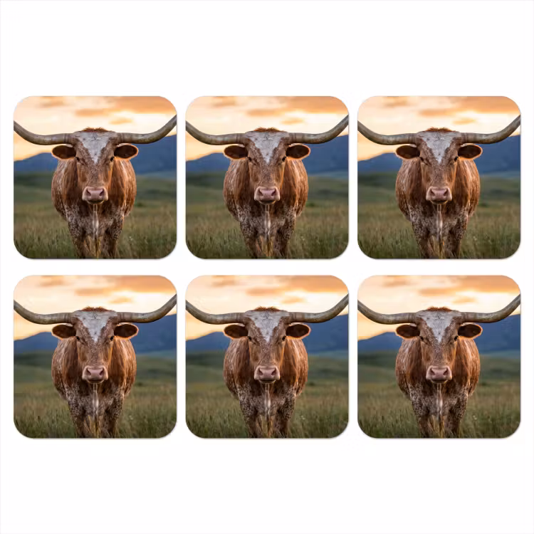 Onderzetter - Longhorn - Landschap - Zonsondergang — 1