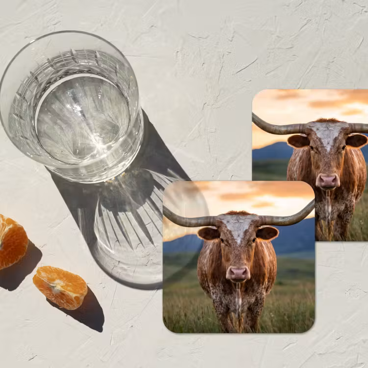 Onderzetter - Longhorn - Landschap - Zonsondergang — 3