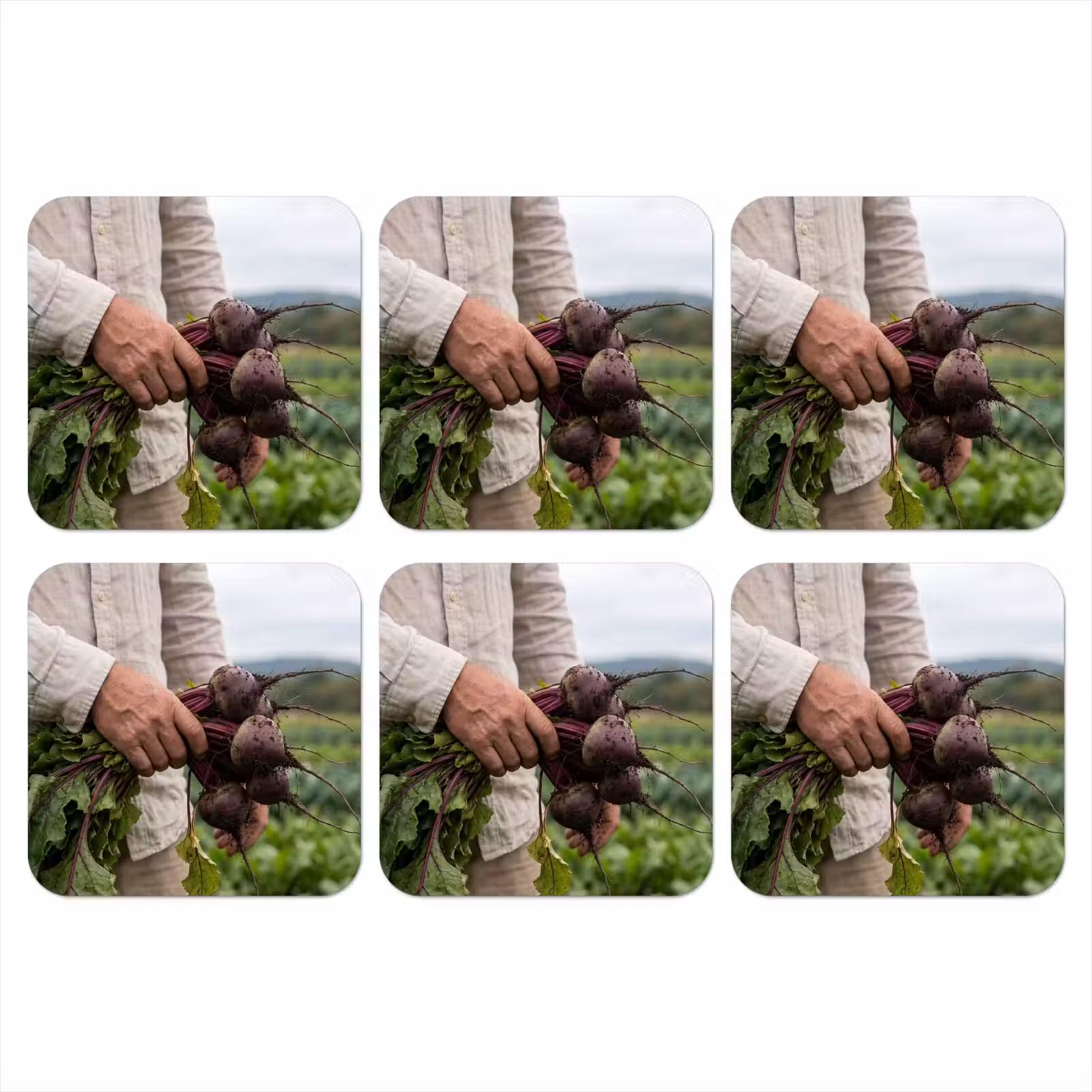 Onderzetter - Bieten - Vers - Moestuin — 1