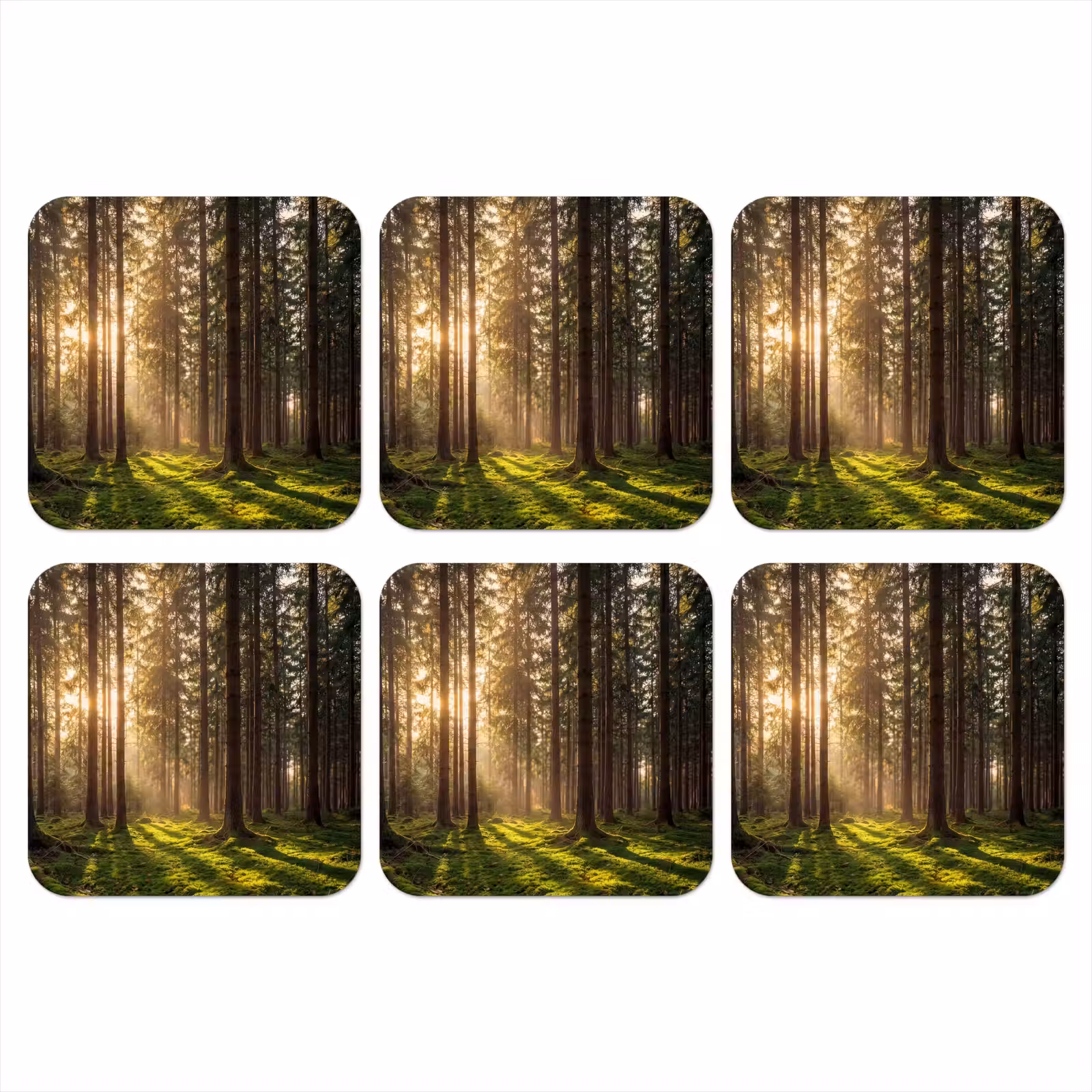 Onderzetter - Bos - Gras - Zonlicht — 1
