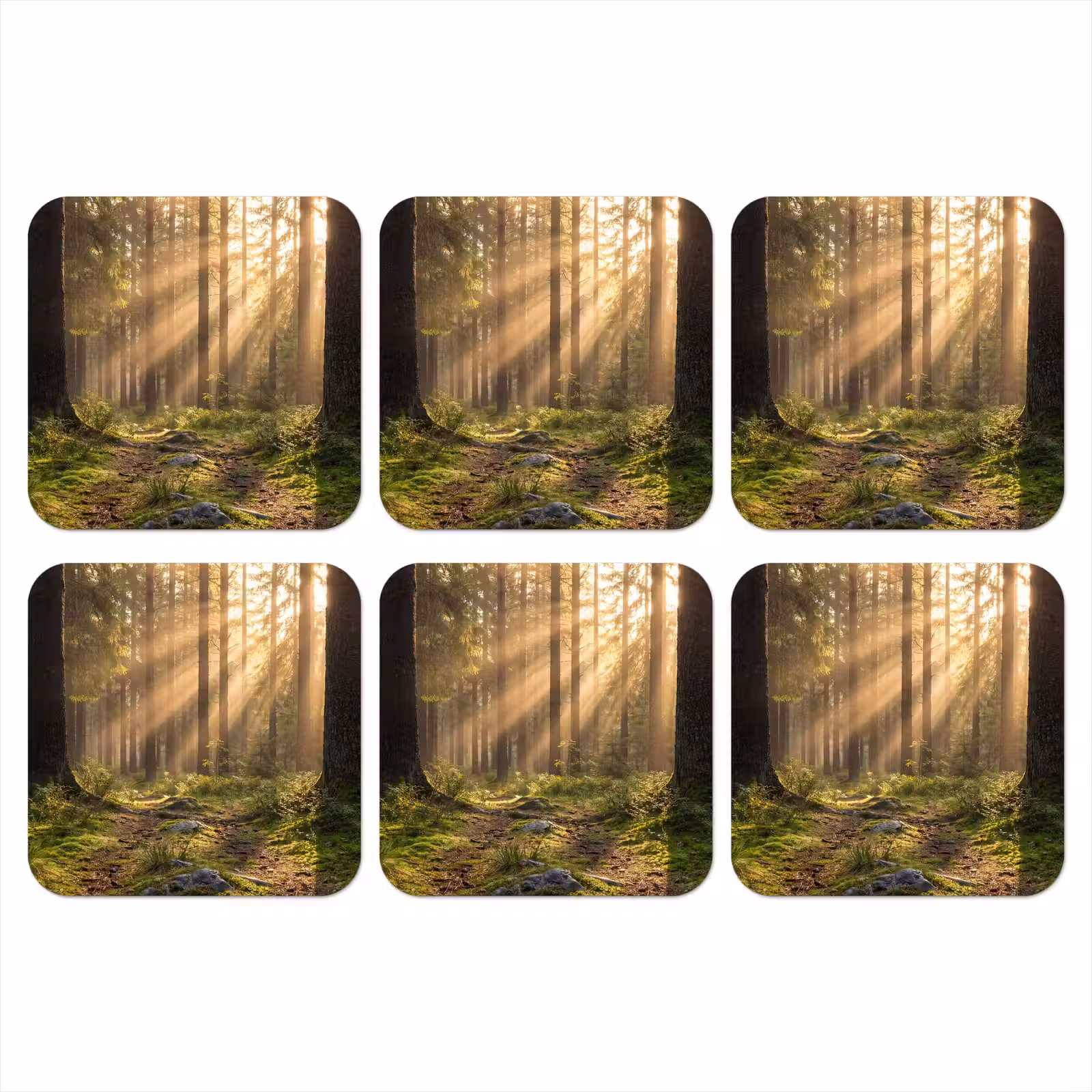 Onderzetter - Bos - Zonlicht - Gras — 1