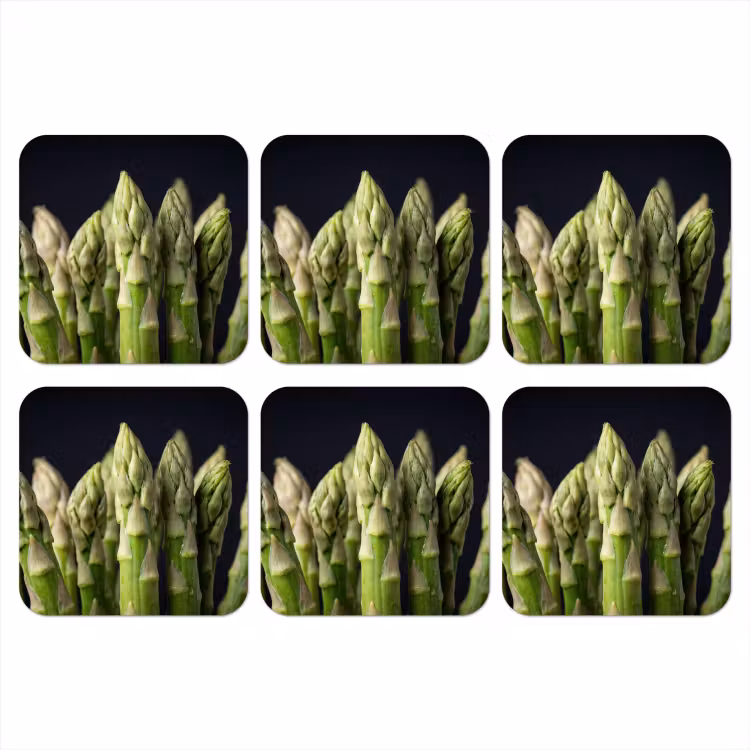Onderzetter - Asperges - Groen - Zwart — 1