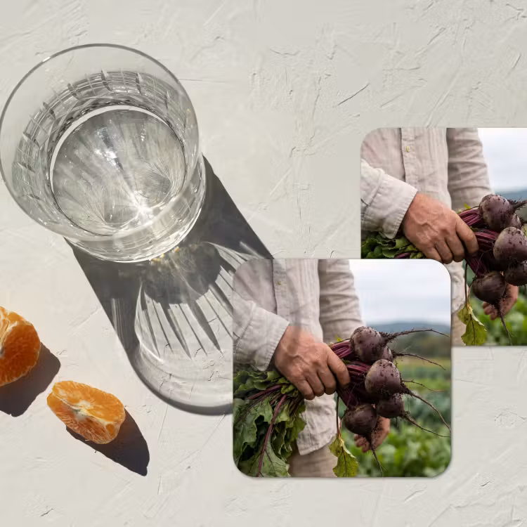 Onderzetter - Bieten - Vers - Moestuin — 3