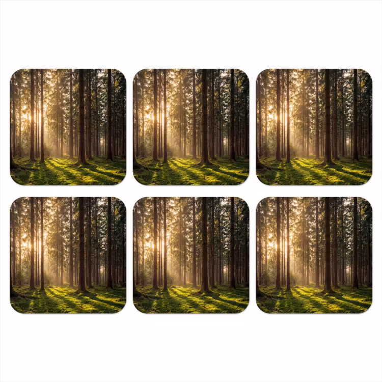 Onderzetter - Bos - Gras - Zonlicht — 1