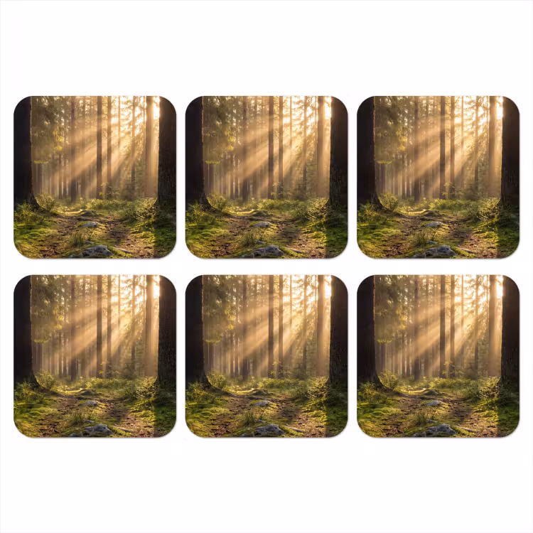 Onderzetter - Bos - Zonlicht - Gras — 1