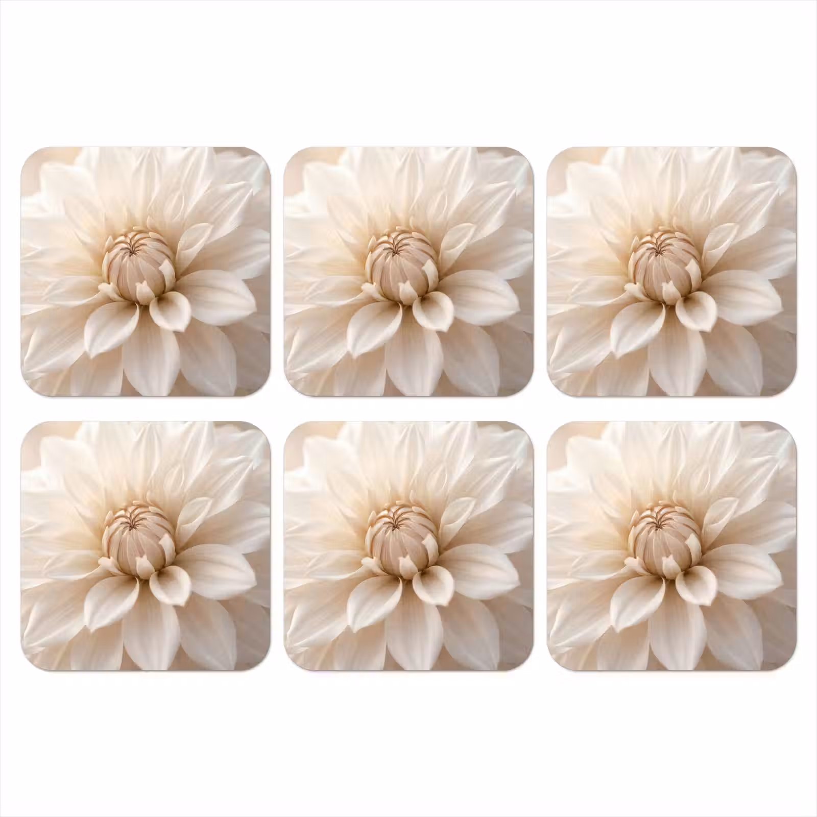Onderzetter - Bloem - Dahlia - Wit — 1
