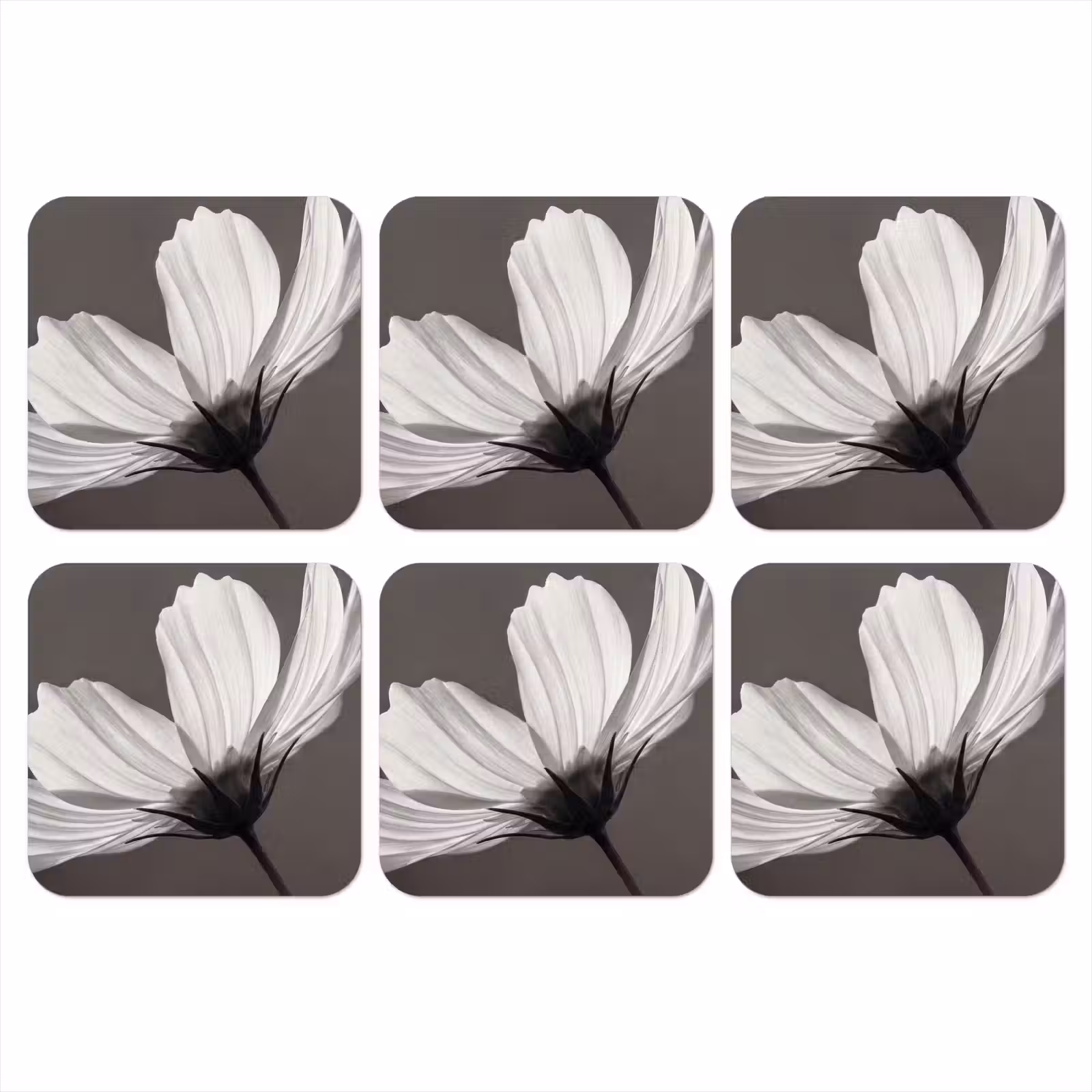 Onderzetter - Bloem - Minimalistisch - Zwart - Wit — 1