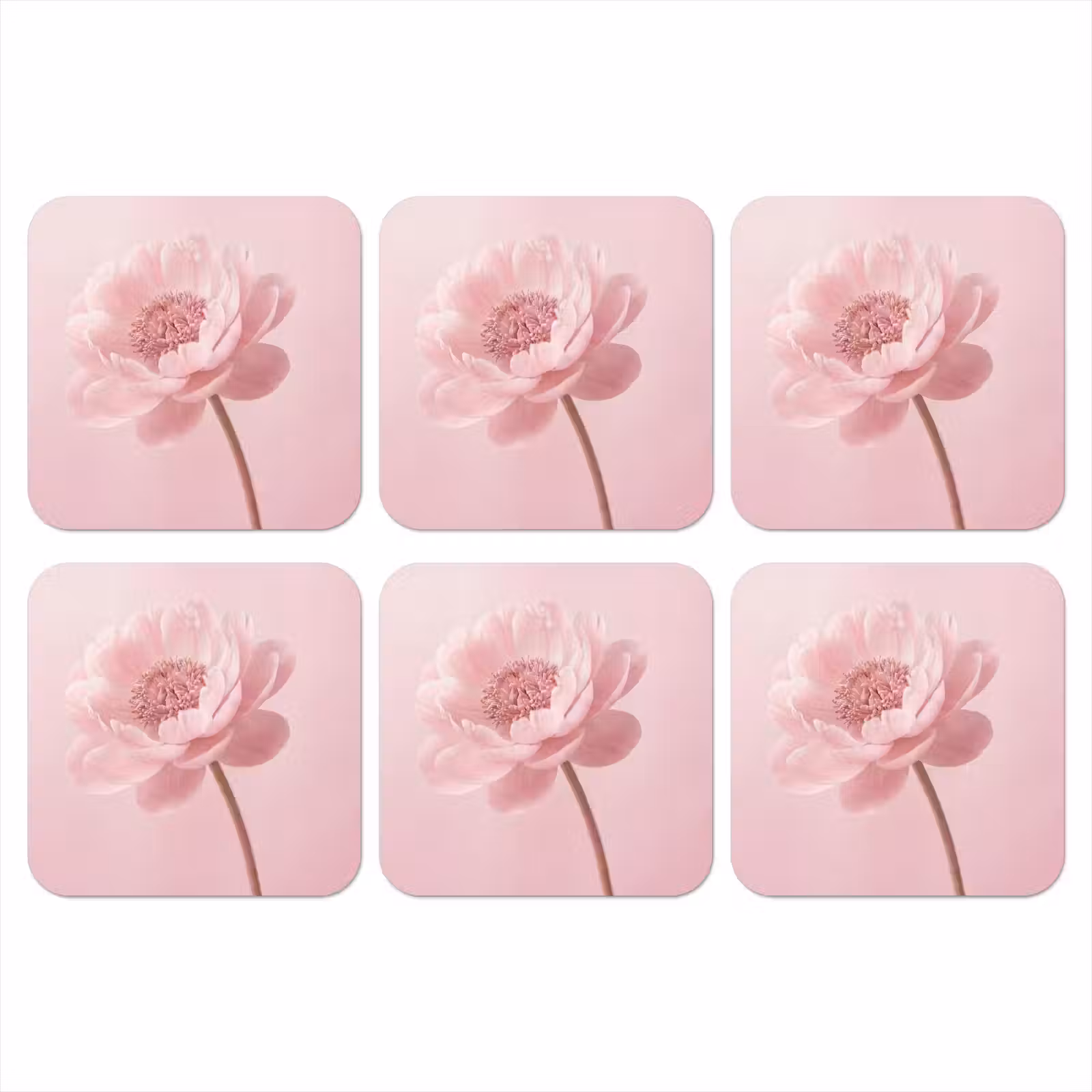 Onderzetter - Bloem - Pioenroos - Roze — 1