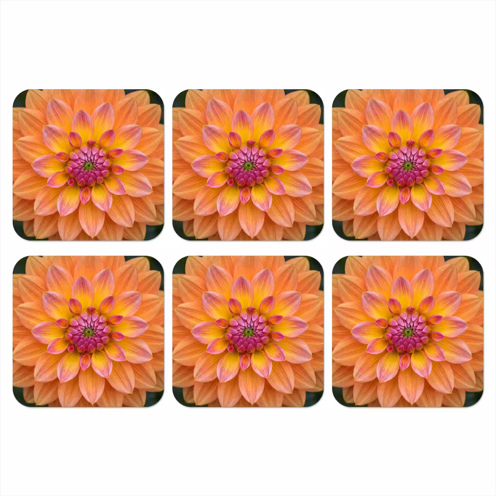 Onderzetter - Dahlia - Bloem - Oranje — 1