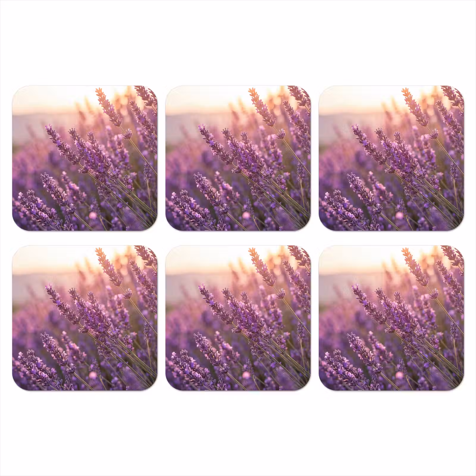 Onderzetter - Lavendel - Paars - Zonlicht — 1