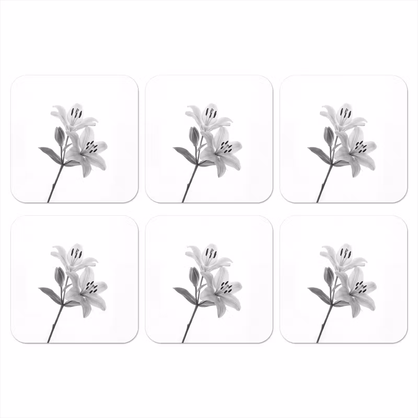 Onderzetter - Lelies - Elegant - Zwart - Wit — 1