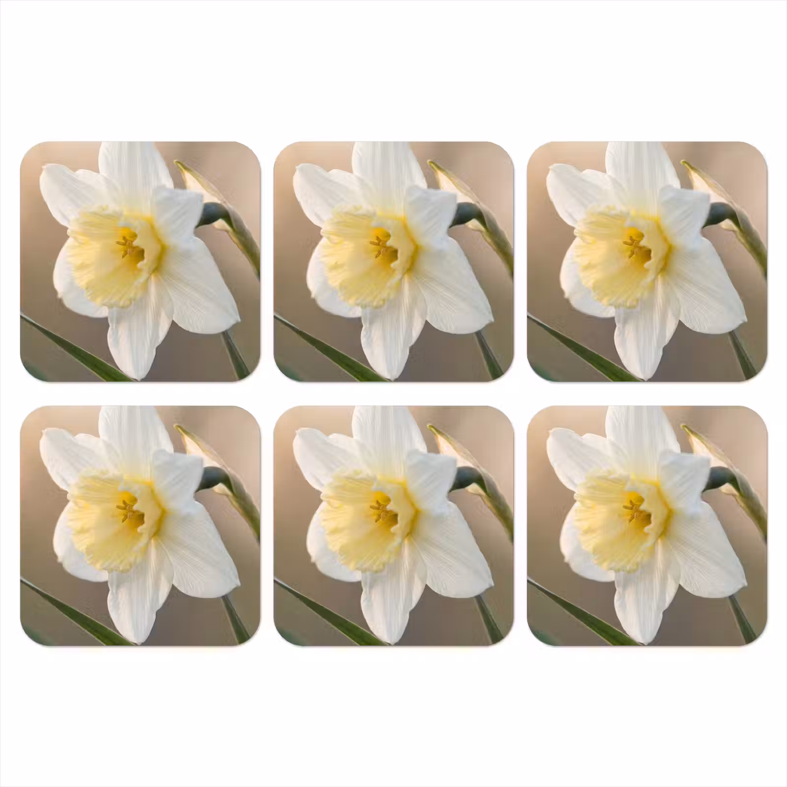 Onderzetter - Narcis - Bloem - Minimalistisch — 1