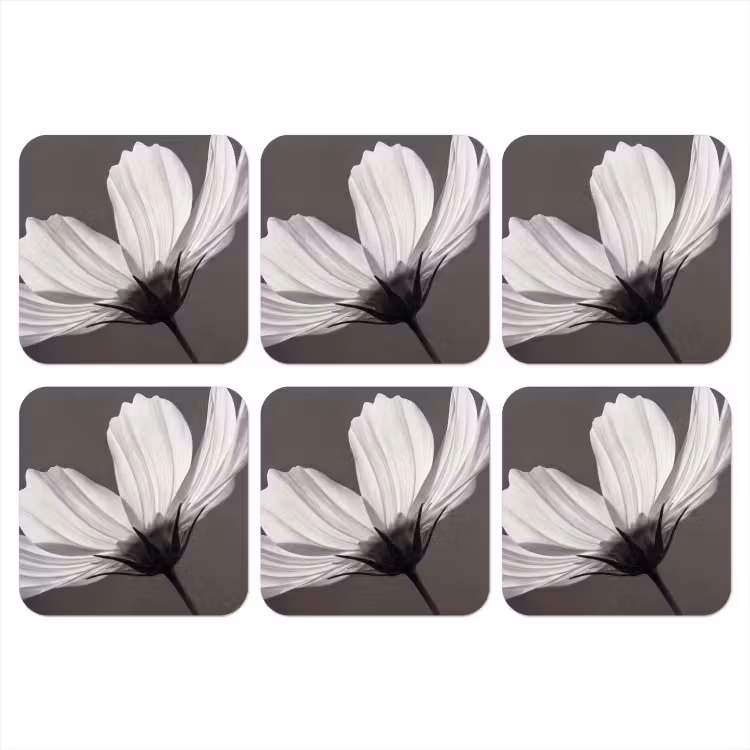 Onderzetter - Bloem - Minimalistisch - Zwart - Wit — 1