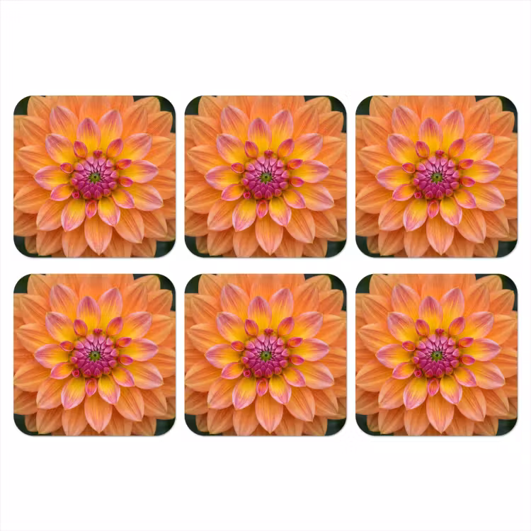 Onderzetter - Dahlia - Bloem - Oranje — 1