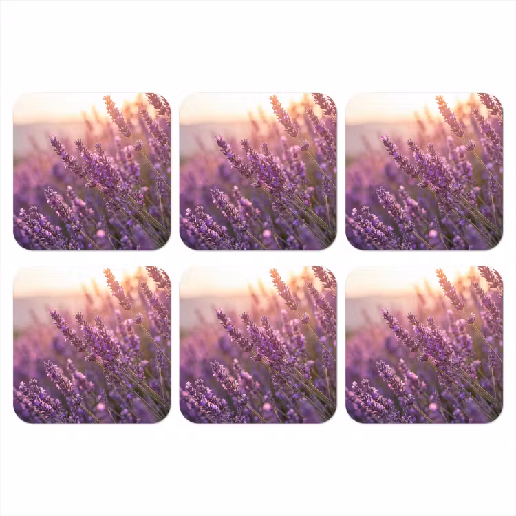 Onderzetter - Lavendel - Paars - Zonlicht — 1