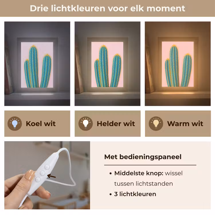 Nachtlampje - Cactussen - Modern - Pastel — 5
