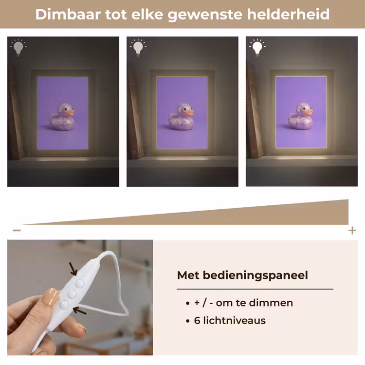Nachtlampje - Disco - Eend - Paars — 6