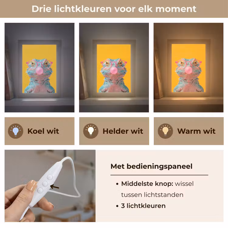 Nachtlampje - Kameleon - Kauwgom - Kleurrijk — 5